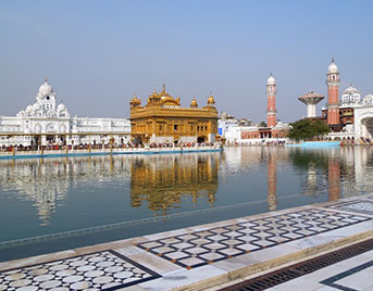 Holiday Packages in Chandigarh